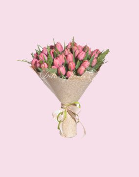 pink tulips