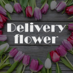 tulip-8