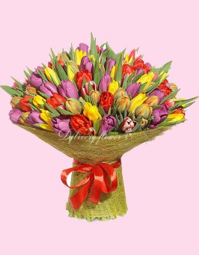 Tulip mix