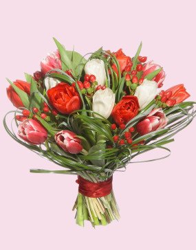 Barbarys_f