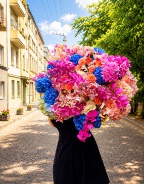 Royal-bloom